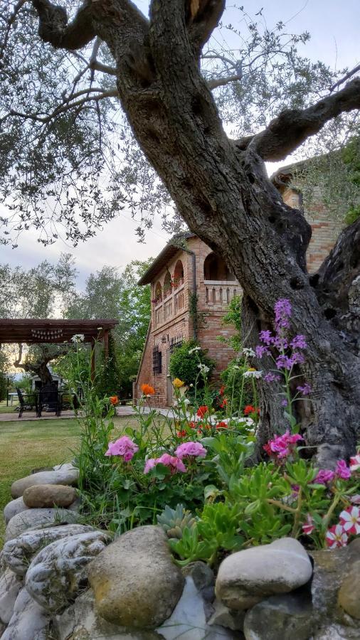 Agriturismo Terralieta Розето-дельи-Абруцци Экстерьер фото